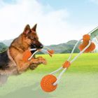 TPR Dog Tough Chew Toys Pet Self Playing Rubber Ball With Suction Cup
