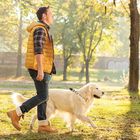 Durable Retractable Dog Leash With Ergonomic Design Smooth Leash Retraction