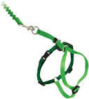 Adjustable Nylon Cat Harness Collar With Bungee Leash