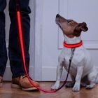 Neoprene Padding Reflective Light Up Dog Lead Safe For Night Walking