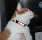 6 Set Solid Safe Cat Harness Collar , Nylon Reflective Cat Collar With Bell