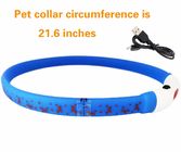 Eye Catching LED Dog Collar USB Rechargeable Personalized Cartoon Cute