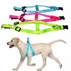 LED Light Up Dog Harness Night Waterproof Pet Vest OEM ODM Available