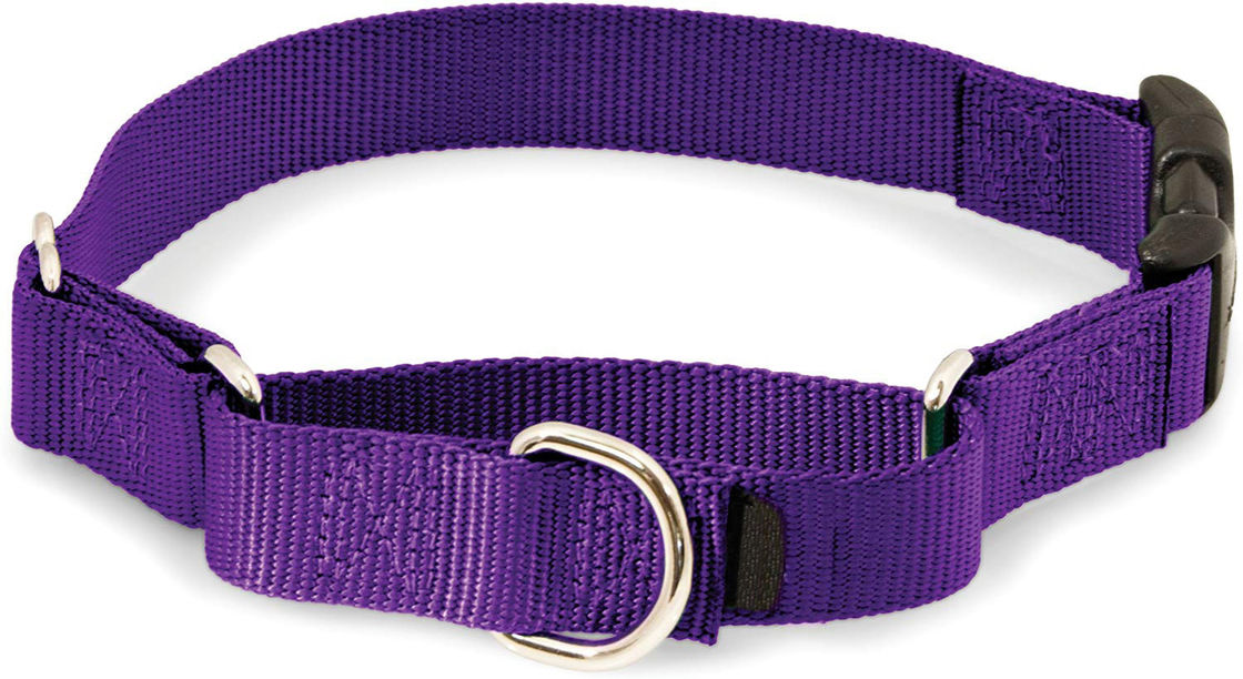 Durable Soft Nylon Buckle Dog Collars , Purple Green Nylon Dog Collar Easy On Off