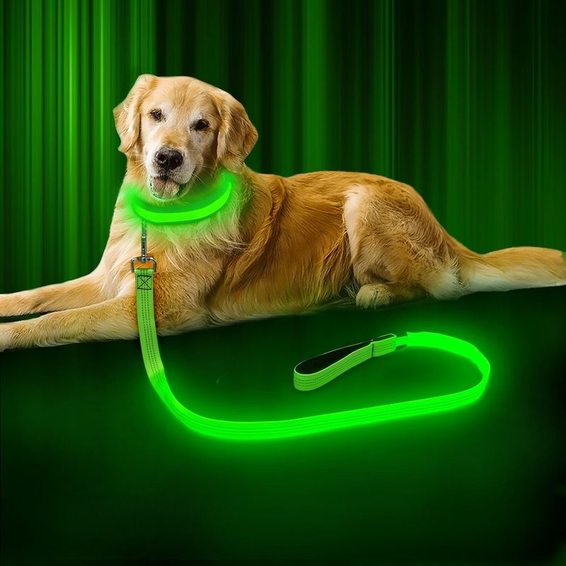 USB Rechargeable LED Dog Leash 47.2 Inch 120cm Reflective Night OEM ODM Available