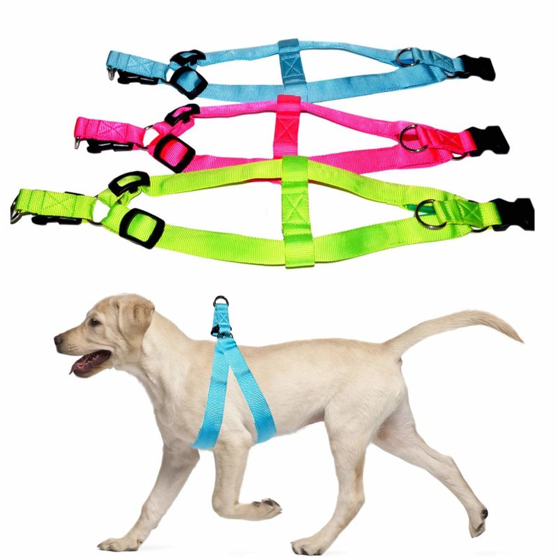 LED Light Up Dog Harness Night Waterproof Pet Vest OEM ODM Available
